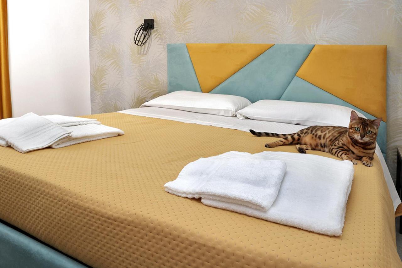 Bed and Breakfast Toc Toc Понтеканьяно Экстерьер фото
